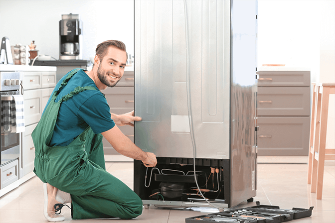 Professional Appliance Repair Technician